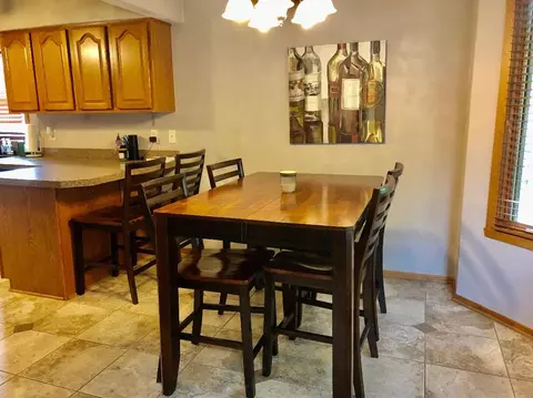 1175 Old Hunter Run, Byron, IL 61010 photo 13