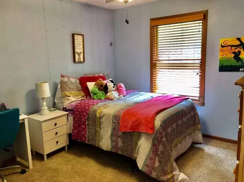 1175 Old Hunter Run, Byron, IL 61010 photo 26