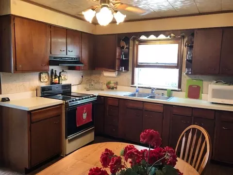 102 E 3rd St, Leaf River, IL 61047 photo 4