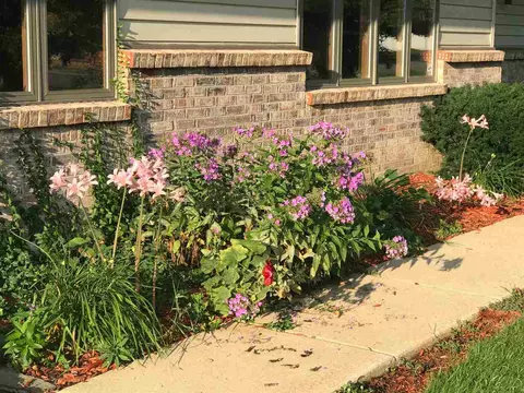 7369 Moss Canyon Rd, Cherry Valley, IL 61016 photo 34