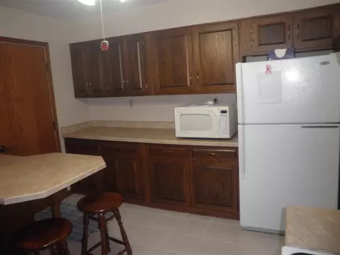 603 E Webster, Polo, IL 61064 photo 6