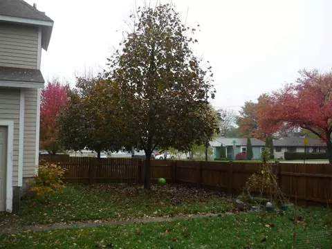 1104 Maple Ave, Belvidere, IL 61008 photo 8