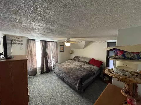 213 E 4th St, Pecatonica, IL 61063 photo 25