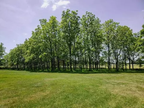 15724 Capron Rd, Capron, IL 61012 photo 33