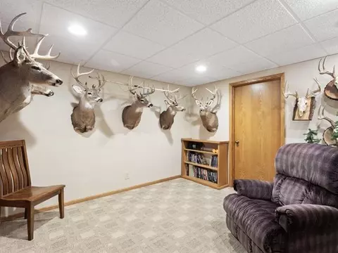815 E Webb, Davis, IL 61019 photo 25