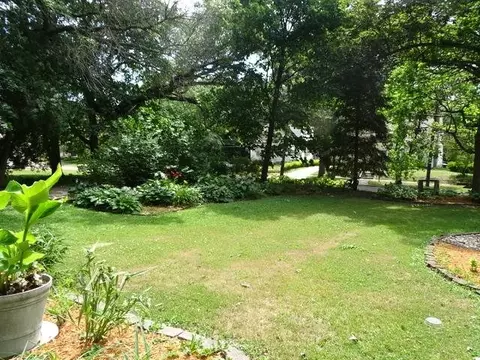31 N Bailey, Freeport, IL 61032 photo 38