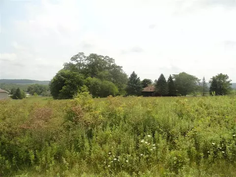 3 Butternut Ln, Galena, IL 61036
