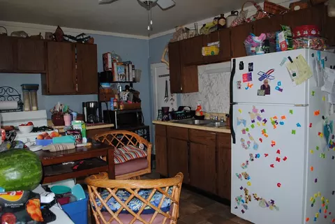206 N Main St, Leaf River, IL 61047 photo 7