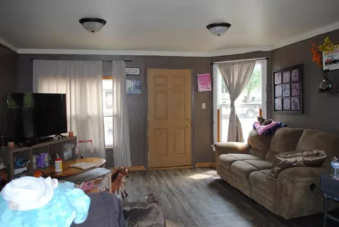 206 N Main St, Leaf River, IL 61047 photo 5