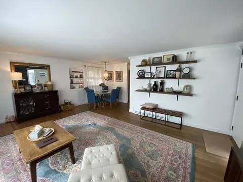 313 W Pearl St, Lanark, IL 61046 photo 9