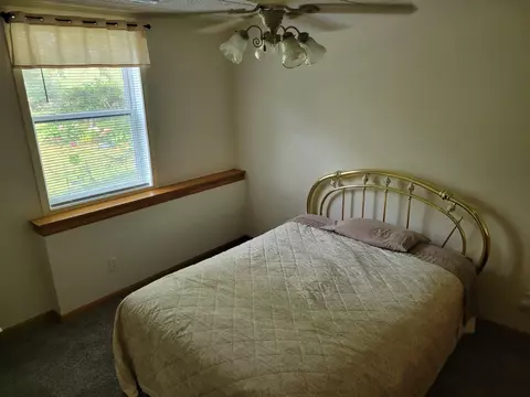 8 A107 Independence Dr, Apple River, IL 61001 photo 23