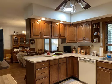 116 Nevada, Savanna, IL 61074 photo 5