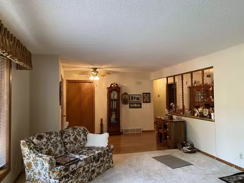 116 Nevada, Savanna, IL 61074 photo 8