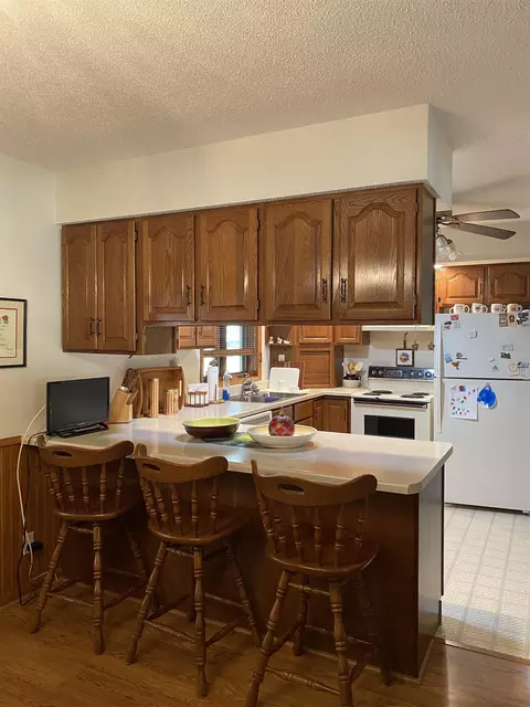 116 Nevada, Savanna, IL 61074 photo 4