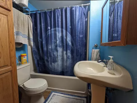 408 N Salisbury, Davis, IL 61019 photo 10