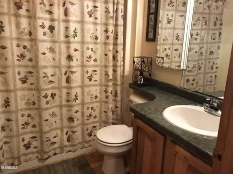 1-193 Ahab Ct, Lanark, IL 61046 photo 9