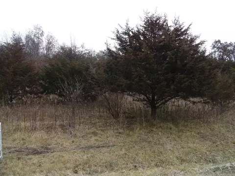 6 Winterwood Ln, Galena, IL 61036