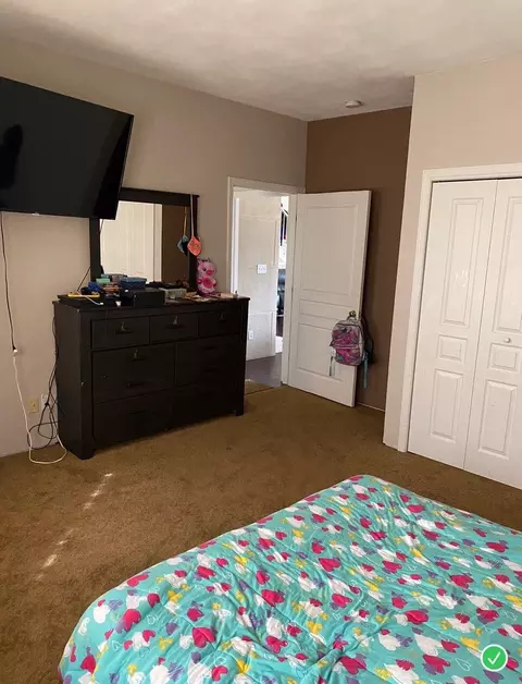 916 Olson Spring Close Close, Belvidere, IL 61008 photo 21