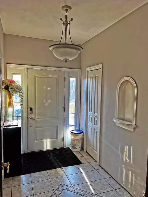 916 Olson Spring Close Close, Belvidere, IL 61008 photo 2
