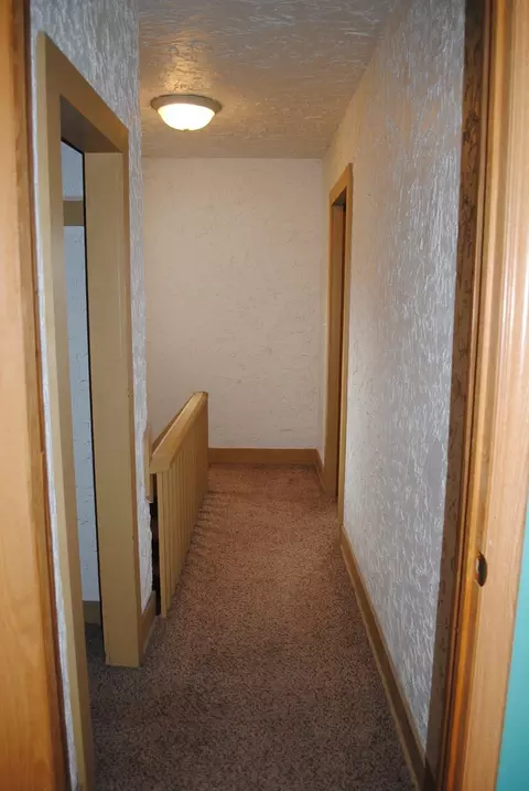 209 E 1st St, Leaf River, IL 61047 photo 22