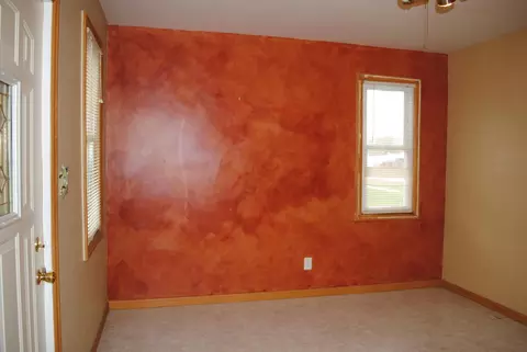 209 E 1st St, Leaf River, IL 61047 photo 16