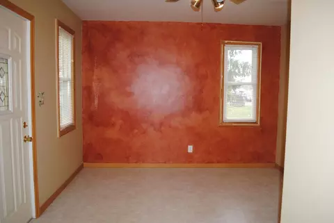 209 E 1st St, Leaf River, IL 61047 photo 17