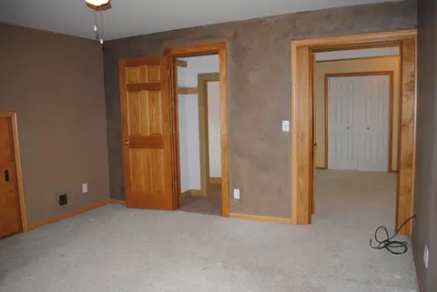 209 E 1st St, Leaf River, IL 61047 photo 26