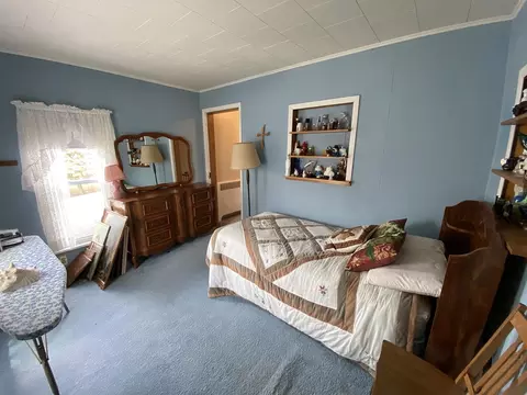 25203 Locust Rd, Lanark, IL 61046 photo 26