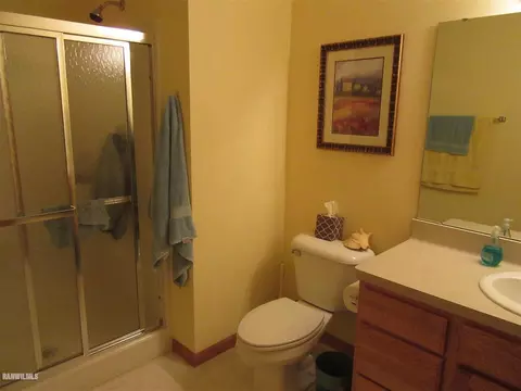 17-111 Hidden Cove Ct, Lanark, IL 61046 photo 24