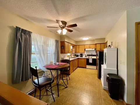 401 E Silk St, Mount Carroll, IL 61053 photo 4