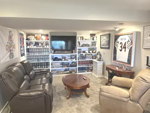 76 Delburne, Lake Summerset, IL 61019 photo 32