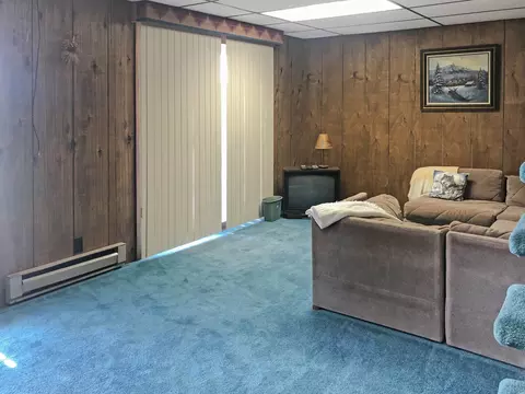 4-163 Beachcomer, Lanark, IL 61046 photo 14