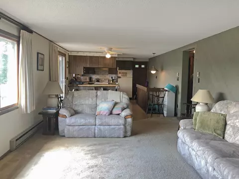 4-163 Beachcomer, Lanark, IL 61046 photo 3