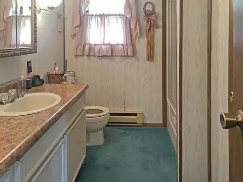 4-163 Beachcomer, Lanark, IL 61046 photo 10