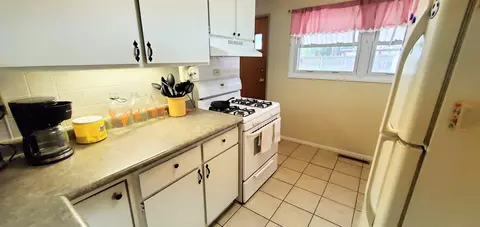 415 E Lincoln St, Mount Morris, IL 61054 photo 10