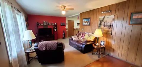 415 E Lincoln St, Mount Morris, IL 61054 photo 6