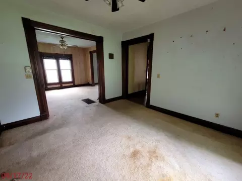 203 W 5th St, Leaf River, IL 61047 photo 4