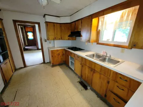 203 W 5th St, Leaf River, IL 61047 photo 6