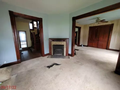 203 W 5th St, Leaf River, IL 61047 photo 3