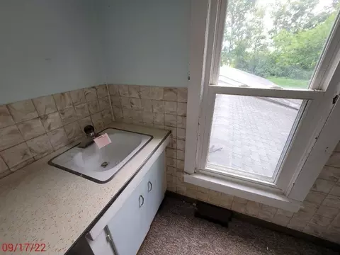 203 W 5th St, Leaf River, IL 61047 photo 11