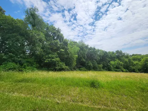 4-57 R Beachcomber, Lake Carroll, IL 61046 photo 4