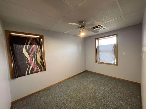 303 E State Rd, Mount Carroll, IL 61053 photo 14