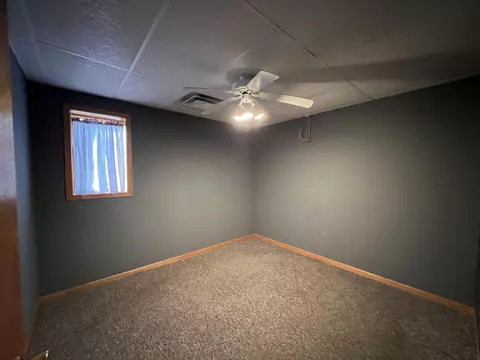 303 E State Rd, Mount Carroll, IL 61053 photo 17