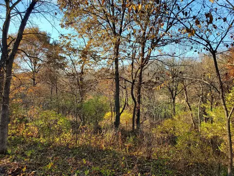 22 Tanager Ln, Galena, IL 61036