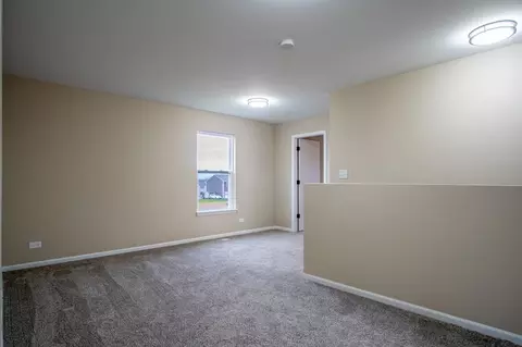 3044 E 6th St, Belvidere, IL 61008 photo 28