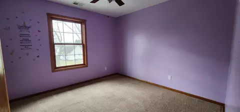 824 E Jackson St, Belvidere, IL 61008 photo 36
