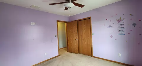 824 E Jackson St, Belvidere, IL 61008 photo 39