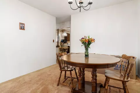 315 E 10th St, Pecatonica, IL 61063 photo 12