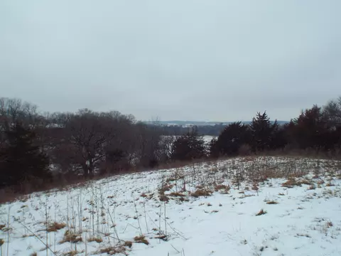 Tbd N Badger Road, East Dubuque, IL 61025