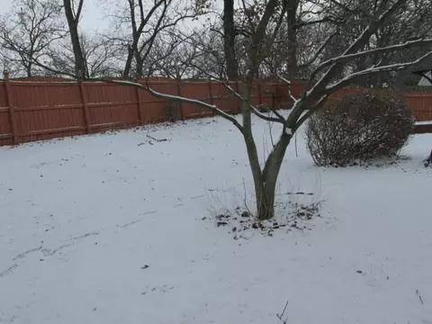 8660 Sunset Dr, Byron, IL 61010 photo 48
